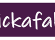 flickafakta