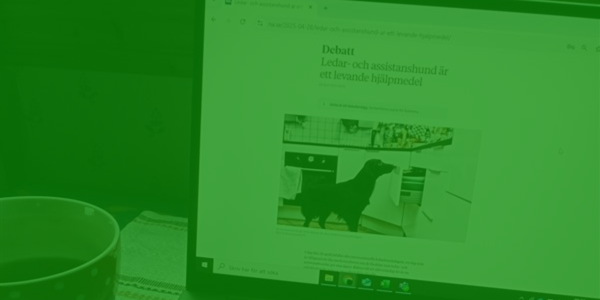 ledarhundens dag webb bild på en skärm med en debattartikel med titeln Ledar- och assistanshund är ett levande hjälpmedel